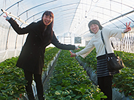 BLOG 行ってき☆まっすー♪