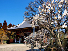 成田山公園