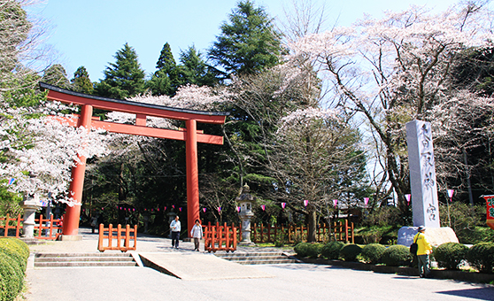 佐原のさくら祭り