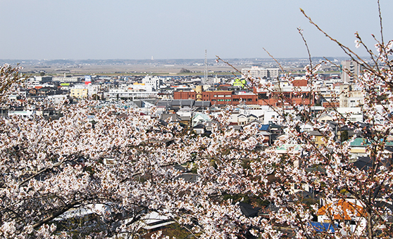 佐原のさくら祭り