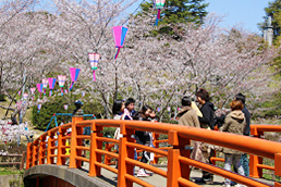 水郷おみがわ桜つつじまつり