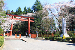 佐原のさくら祭り