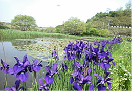 芝山水辺の里