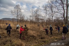 第７回観察会を実施しました