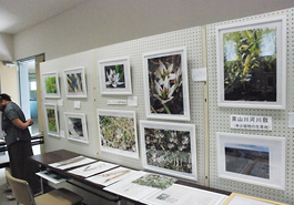 横芝光町において写真展と講演会を実施